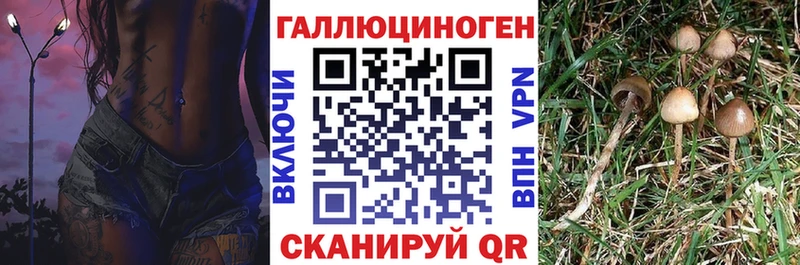Купить закладки  Бугуруслан  Псилоцибиновые грибы прущие грибы 